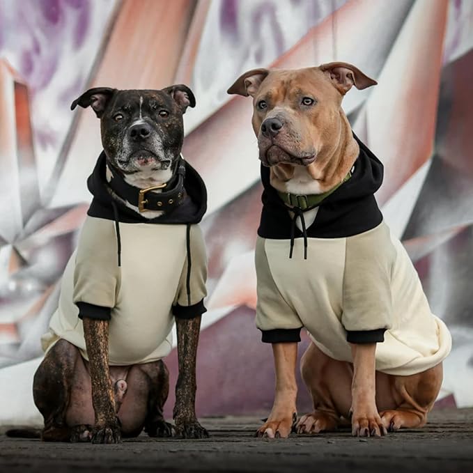Spark Paws Dog Hoodie – Premium Dog Sweater for Small, Medium, and Large Dogs | Warm Outfits for French Bulldogs, Pitbull, Puppy, Winter Jacket Alternative - Olive Cream - 4XL