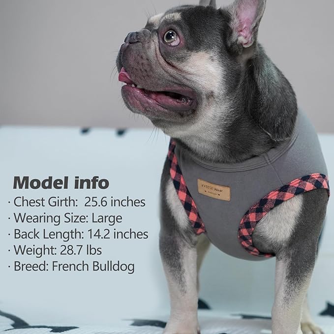 KYEESE 2Pack Dog Shirt Soft Dog T Shirt Fleece Pets Coats Lightweight Pets Sweatshirt Pullover Pet Shirt Vest Dogs Clothes Pet Sweater for Medium Dogs,Grey+Pink,XXL