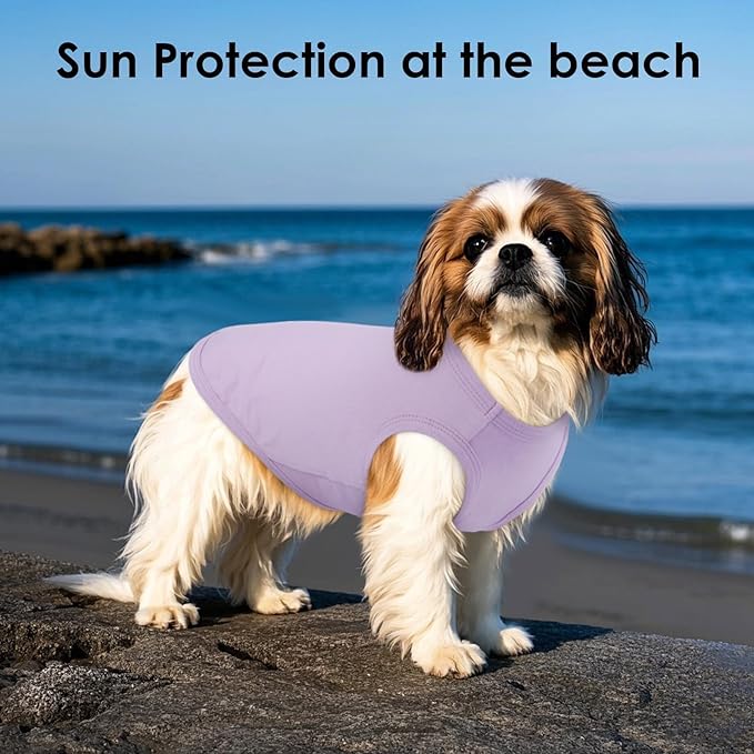 3 Pack L-Striped Purple Dog Tshirt,French Bulldog Large Sleeveless Tee to Prevent Overheating,Seaside,Backyard,Lightweight Cozy Indoor Lounge Wear,Striped & Solid Color(Purple,L)