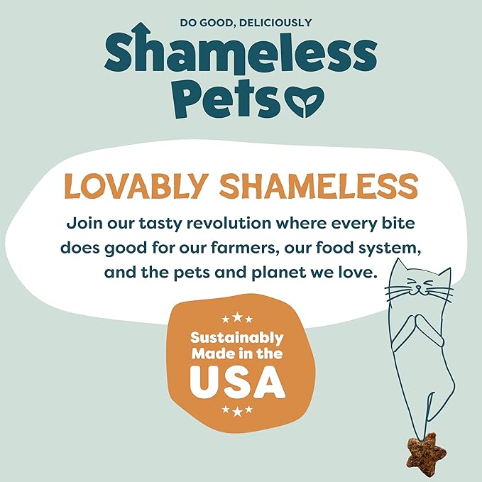 Shameless Pets Crunchy Cat Treats - Catnip Treats for Cats with Digestive Support, Kitten Treats with Real Ingredients, Natural & Healthy Flavored Feline Snacks - Catnip N Chill Chicken Liver, 12 oz