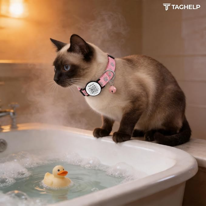 2 Pack Airtag Cat Collar, Breakaway Cat Airtag with Smart ID tag & QR Code Reflective (Pink, Collar Only)