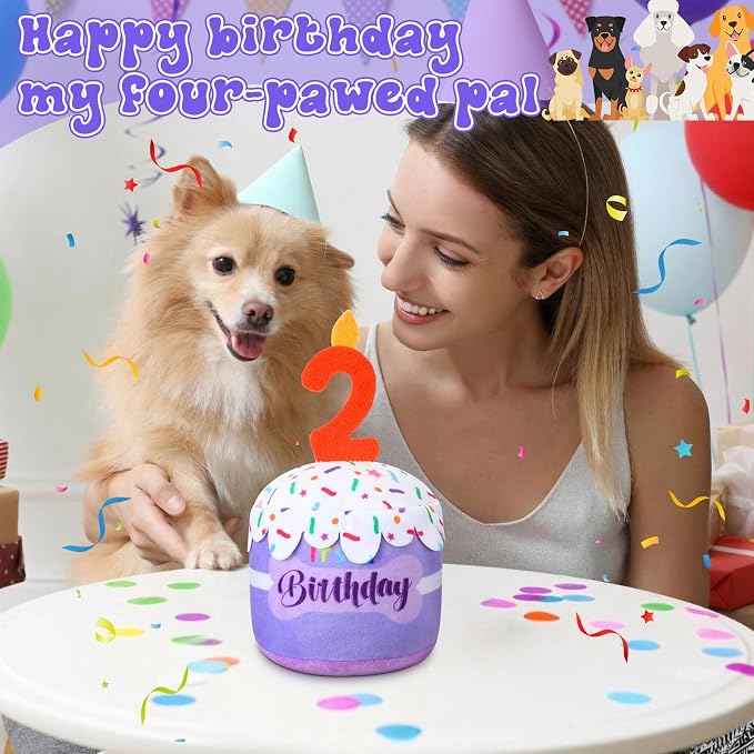 Dansydaisy Dog Birthday Cake Toy Squeaky Plush Gift,2nd,Purple