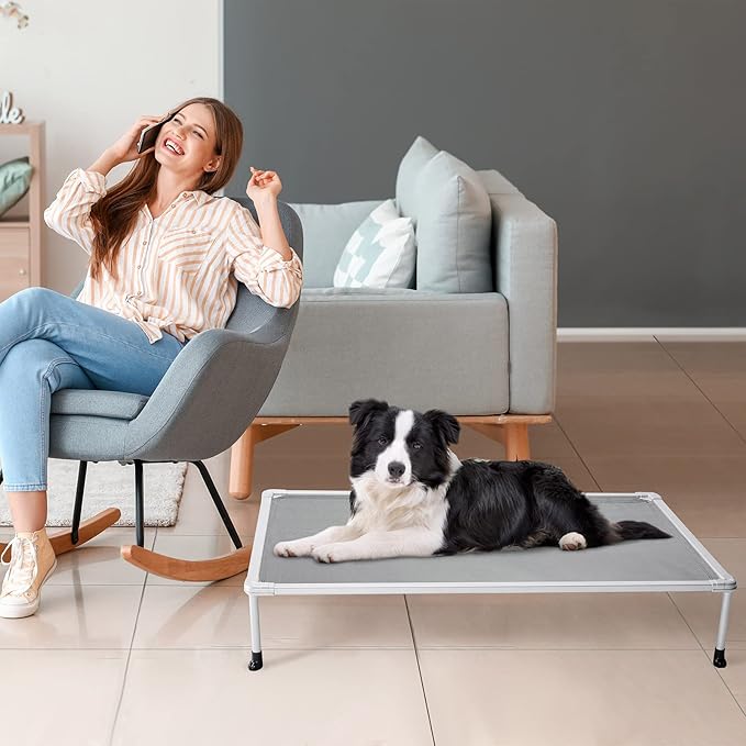 Veehoo Chewproof Elevated Dog Bed - Cooling Raised Pet Cot, Breathable Mesh, Washable & Non-Slip for Medium Dogs, Indoor/Outdoor, Grey Mat and Silver Metal Frame, 32x25inches (Model CWC2203B03)
