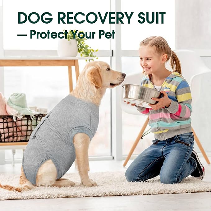 Kuoser Dog Recovery Suit for Male Dogs, Post-Surgery Bodysuit for Spay Neuter, Dog Onesie After Surgery, Anti-Licking Pet Surgical Recovery Suit, Gray S