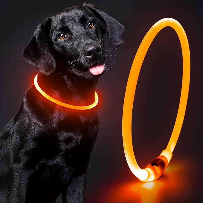 Lighted Dog Collar - Waterproof Puppy Collar Light Rechargeable, High Visibility Glowing Dog Lights for Night Walking (Orange)