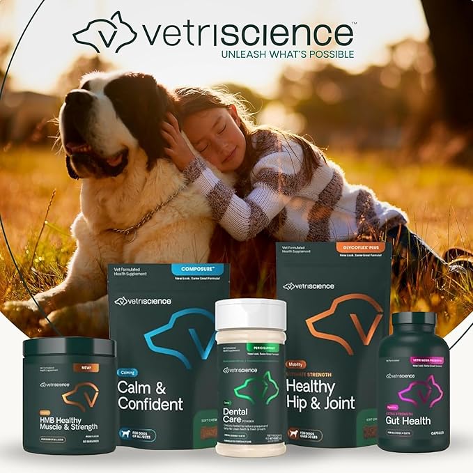 VetriScience Glycoflex 3 Clinically Proven Hip and Joint Supplement for Dogs - Maximum Strength Dog Supplement with Glucosamine, MSM, Green Lipped Mussel & DMG - 2 Pack (120 Chewable Tablets Each)