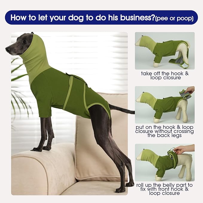FUAMEY Dog Surgery Suit Male Neuter, Onesie After Surgery Body Suits Anti-Licking Protect Cover, Recovery Suit for Dogs Female Spay, Surgical Suits Substitute E-Collar & Con, Labrador (Green, 2XL)
