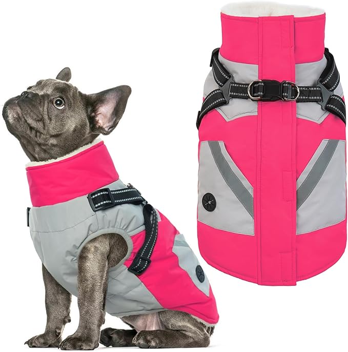IECOii Dog Winter Coat Waterproof - Rosered, Medium - Dog Coat with Harness Built in for Medium Dogs,Thermal Warm Fleece Lined with Zip Up Cold Weather Jacket,Reflective Snowsuit for Outdoor Hiking