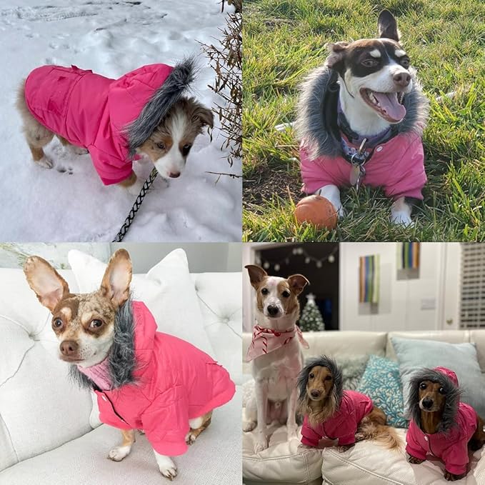 LESYPET Dog Coat for Small Dogs, Windproof Doggie Puffer Jacket with Leash Hole, Extra Warm Dog Jacket Winter Coat, Grey L