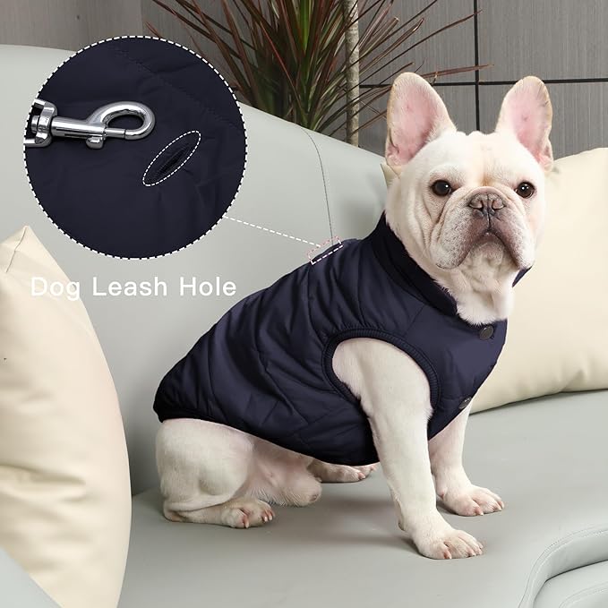 2 Layers Fleece Lined Warm Dog Jacket for Winter Cold Weather,Soft Windproof Large Dog Coat,Blue XXL