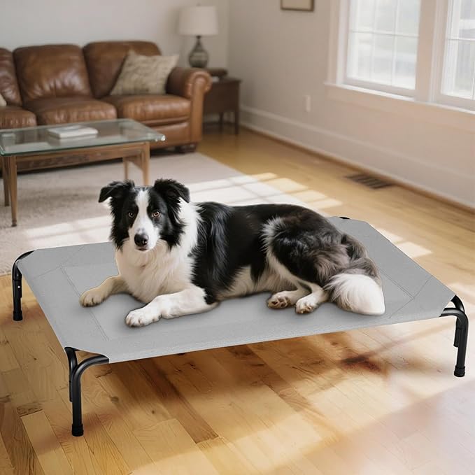 PVY Elevated Dog Bed for Outdoor, Large Raised Dogs Cot for Training, Cooling Pet Beds with Washable Mesh, Indestructible Lifted Platform for Outside Camping, 41 inch Grey