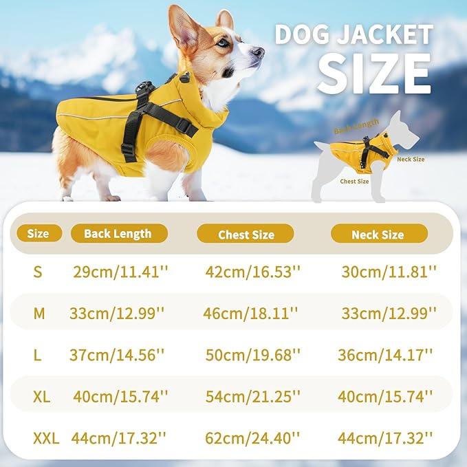 Dog Winter Coat Reflective Water-Resistant Jacket, Fleece Lined Windproof Puppy Coat with Back Zipper & D-Ring, Cold Weather Dog Coats for Small Medium Dogs (M, Orange)