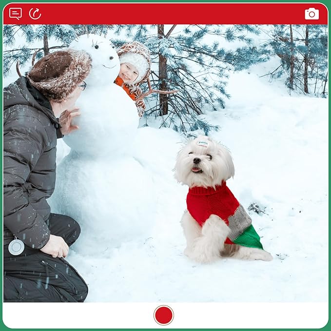 EXPAWLORER Dog Sweater - Small Dogs Fall Sweaters for Girls Boys,Classic Turtleneck Knitwear Dog Clothes for Cold Weather, Cable Knit Dogs Outfit,Coat,Pet Apparel Gift(Red&Green,M)