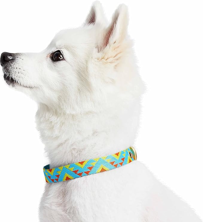 Blueberry Pet Southwestern Tribal Triangles River Blue Adjustable Dog Collar with Metal Buckle, Neck 19.5-26", for Large Breed
