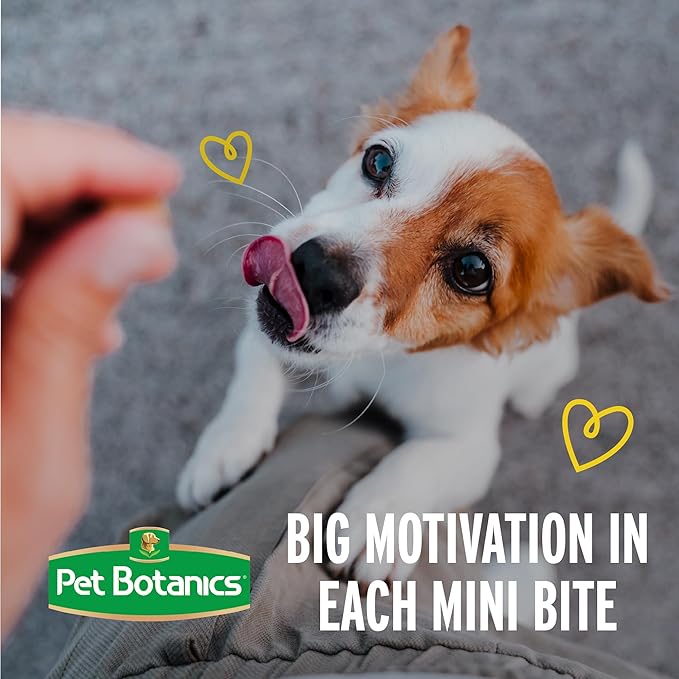 Pet Botanics Training Rewards Mini Treats For Dogs, Bacon, 4 Oz.