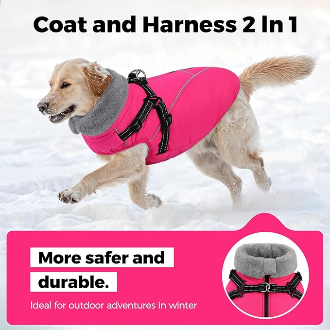 Queenmore Small Dog Coat,Dog Coat for Small Dogs,Reflective Windproof Dogs Jackets with Built-in Harness,Doggy Winter Jacket with Zipper On Back,Warm Pet Coats with Fleece Lining,Rosered,S