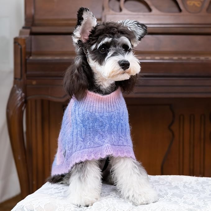 Rainbow Mohair Dog Sweater Cloak, Cold Weather Coat Dog Jacket for Small Dogs, Classic Turtleneck Thick Puppy Clothes with Leash Hole DS93L