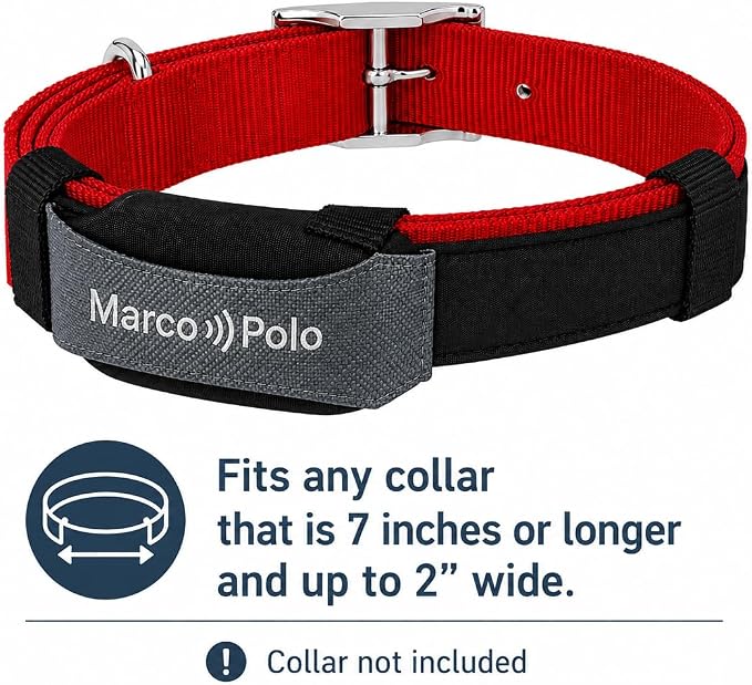 Marco Polo Advanced Pet Tracker for Cats & Dogs - GPS Alternative, No Monthly Fee or Subscription, Waterproof Long Range RF Finder, Anti-Lost Safety Collar Tag (1-Pet System)