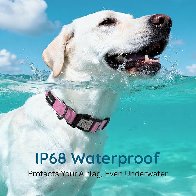 Personalized Dog Collar with QR Code Dog Tag, Oxford Pink M | Anti-lost, Oxford, reflective, padded, XS-L(8"-24"), QR buckle shares lost pet profile, location alerts when scanned, No Fees
