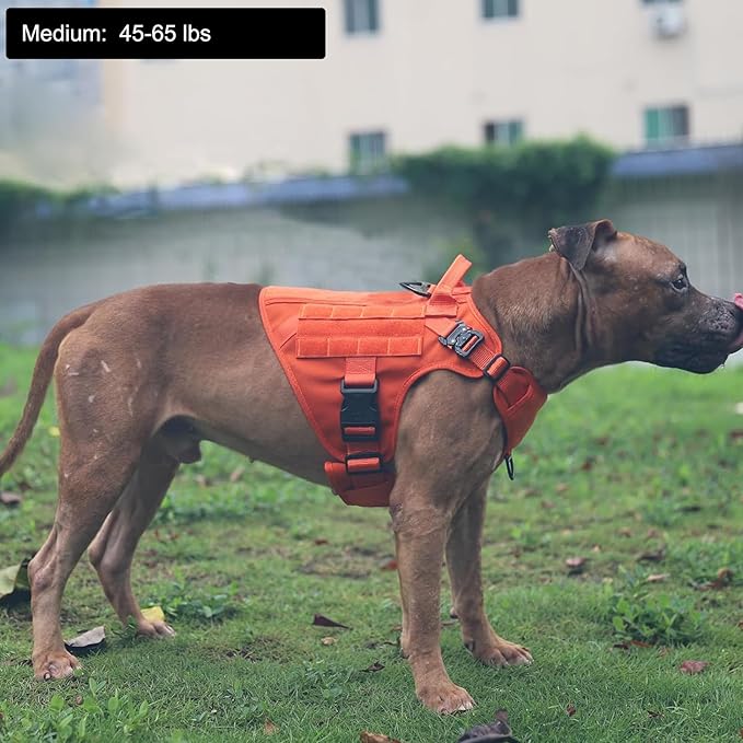 ICEFANG Tactical Dog Harness, Medium Size,2X Metal Buckle,Working Dog MOLLE Vest with Handle,No Pulling Front Leash Clip,Hook and Loop Panel (Orange,M (Pack of 1))