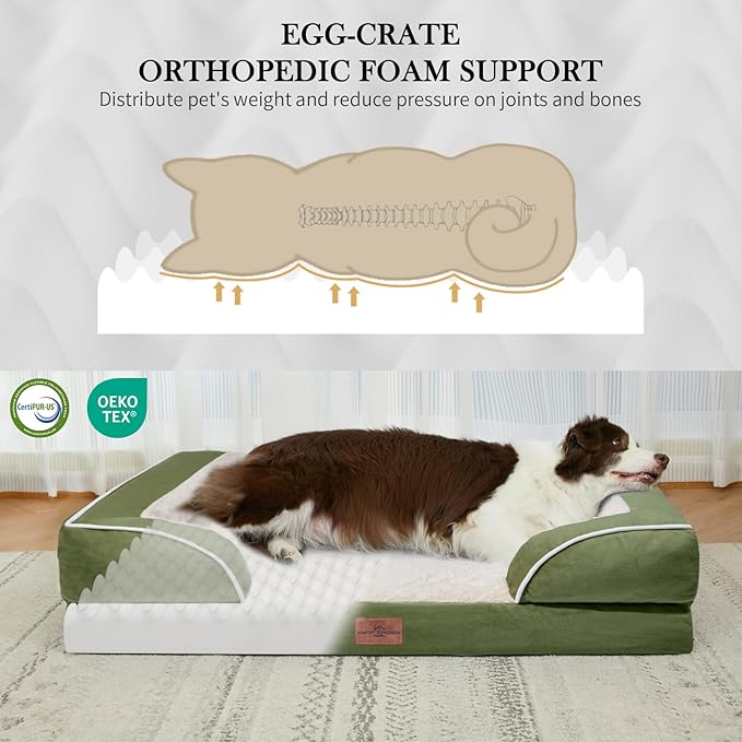 Comfort Expression Orthopedic Dog Bed for Medium Dogs 30x20 Inch, Waterproof Egg Crate Foam Medium Pet Bed with Removable Bolsters, Dog Couch with Washable Cover & Non-Slip Bottom, Light Green
