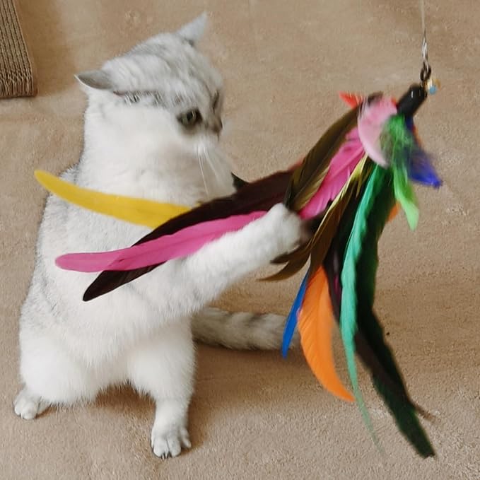 miwoowim 2PCS Retractable Cat Teaser Wands & 9PCS Feather Refills Toy Set | Dual-size telescopic rods (50" & 38"), da bird feather attachments with bells replacement,interactive fishing pole toys