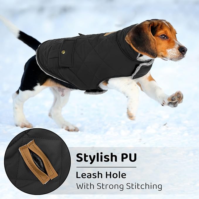 Queenmore Dog Winter Coat Warm Puffer Jacket Waterproof Plush Lining Thermal Cold Weather Vest for Small Medium Large Dogs, Windproof Easy On Pet Jacket Black L