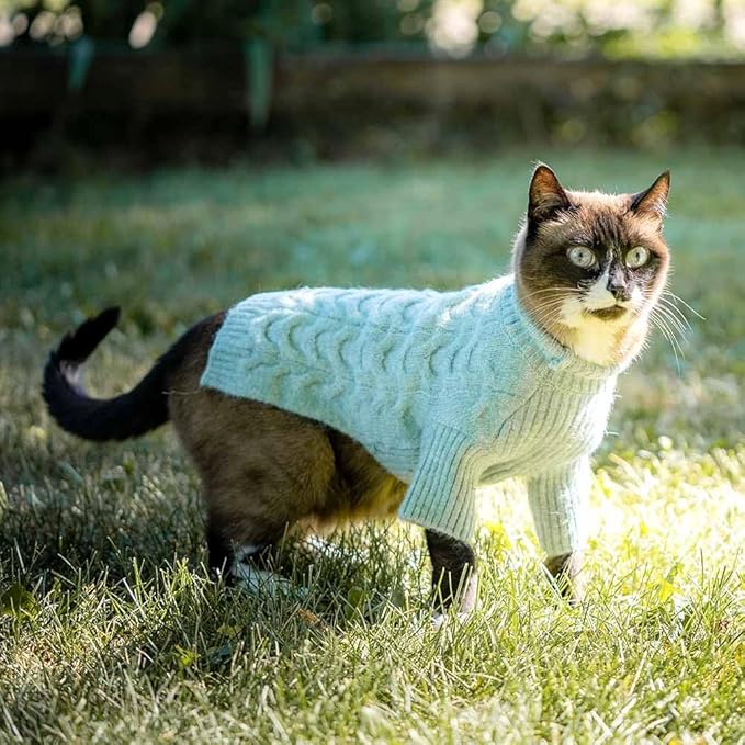 Blueberry Pet 2023 New Classic Fuzzy Textured Knit Pullover Turtle-Neck Dog Sweater in Heathered Jade, Back Length 18", Pack of 1 Clothes for Dogs
