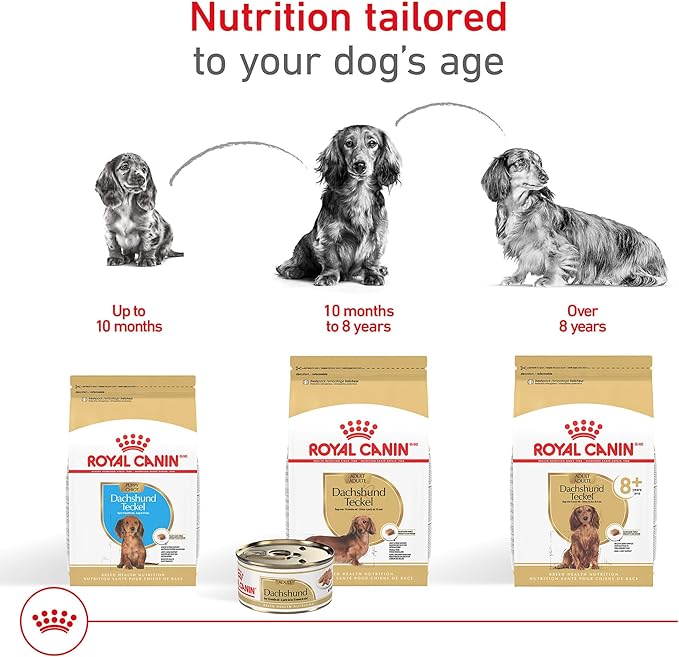 Royal Canin Breed Health Nutrition Dachshund Adult Dry Dog Food, 10 lb Bag