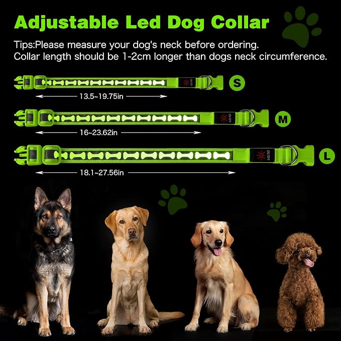 Flashseen LED Dog Collar Light Up USB-C Rechargeable (Green, Large)