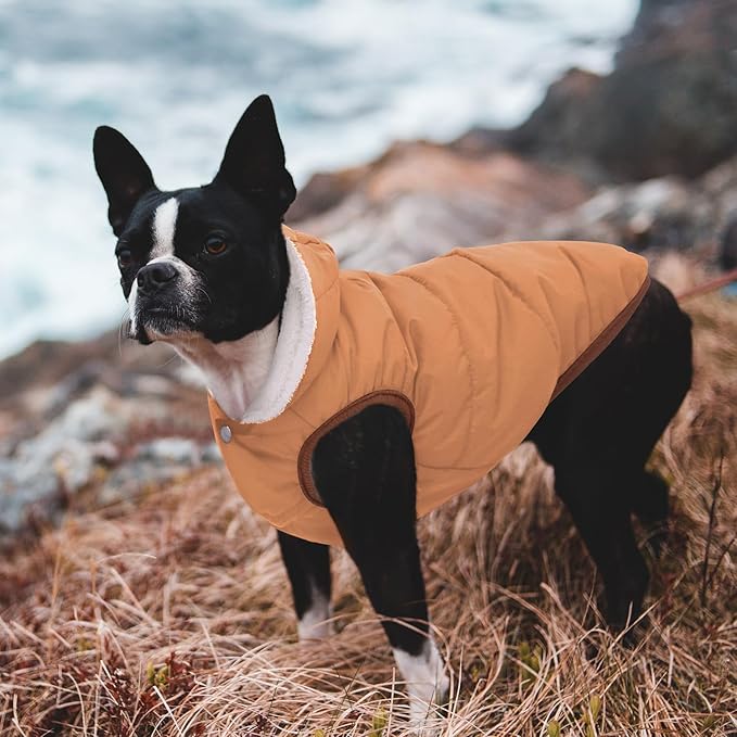 Windproof Waterproof Dog Coat Fleece & Cotton Lined Warm Jacket, Cold Weather Pet Apparel Clothes Vest for Small Medium Large Dogs Khaki