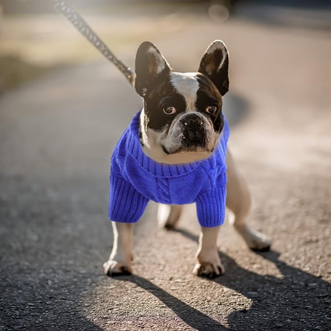 Queenmore Small Dog Pullover Sweater, Cold Weather Cable Knitwear, Classic Turtleneck Thick Warm Clothes for Chihuahua, Bulldog, Dachshund, Pug (Royal Blue, X-Large)
