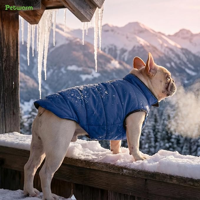 PetWarm Reversible Dog Cold Weather Coats, Waterproof Dog Puffer Vest, Vest for Dogs with Hook-and-Loop Strap, Windproof Outdoor Coat for Winter Walks and Snowy Days, Blue, S