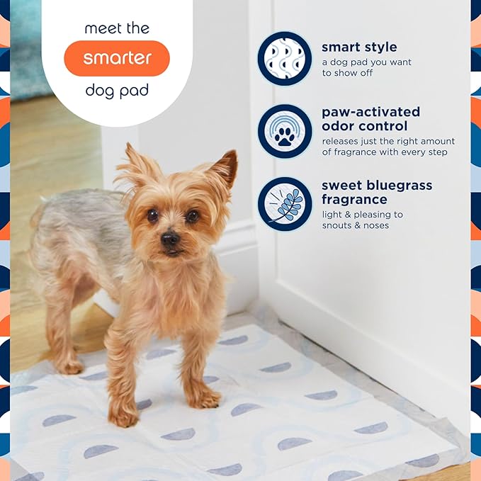 Pet Life Unlimited Smart Prints Large Puppy Pads – 22" x 22", 40 Count (L) | Stylish Dog Training Pads with Odor Controlling Wetness-Activated Sweet Bluegrass Scent | USA Made