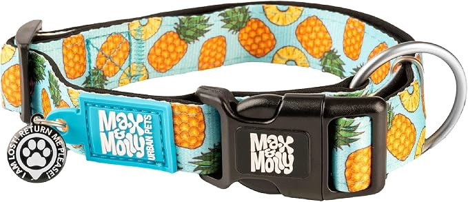 Max & Molly Urban Pets Smart ID Dog Collar with Gotcha! QR Pet Safety Tag and Custom Pet Profile, Soft Padded Neoprene, Waterproof, Machine Washable, Sweet Pineapple, M (13-21")