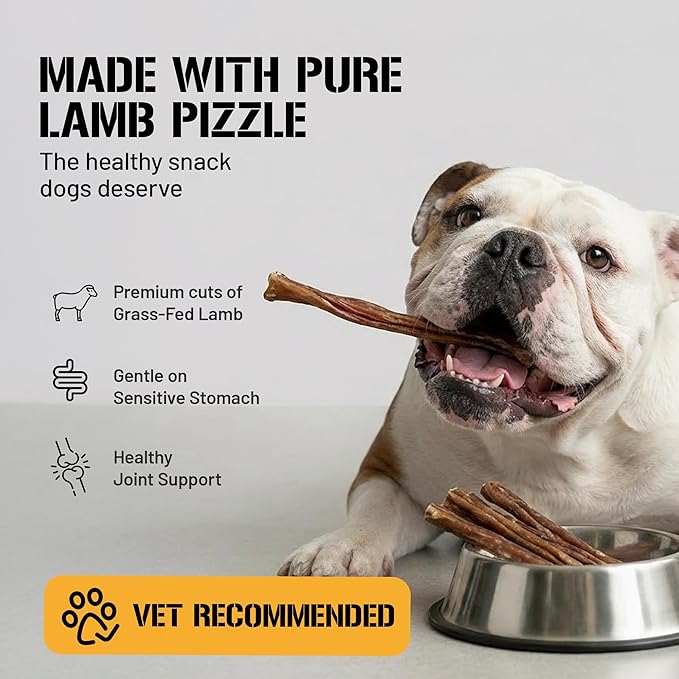 Dog Chits Bully Sticks for Dogs & Puppies - 100% Lamb Pizzle, High Protein, Low Fat Dog Chew Sticks - Baked, Easier to Chew – Long-Lasting, Keep Dogs Engaged & Happy - Made in USA - 8 inch, 12 Pack