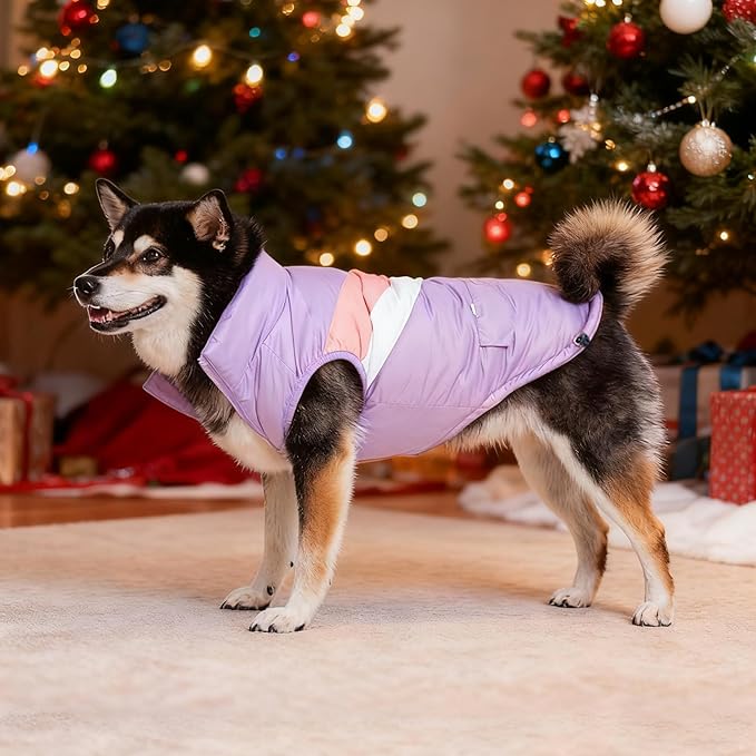 Dog Winter Jacket for Small Dogs Waterproof with Harness Hole,Windproof Puppy Fleece Vest Warm for 12 to 17lbs