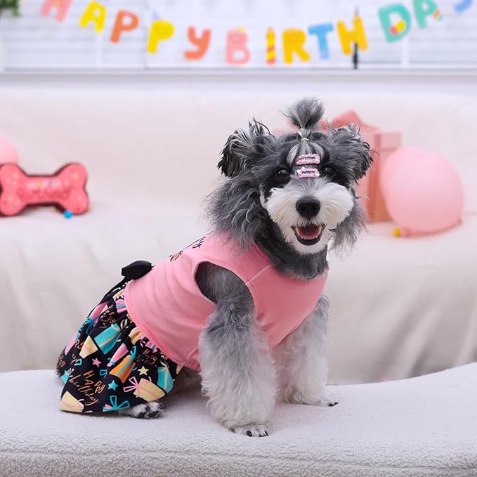 CuteBone Birthday Dog Dresses Velvet Holiday Small Dogs Clothes Onesie Pet Apparel Girl Puppy Skirt with Bow Hair Rope CVA48XS-D