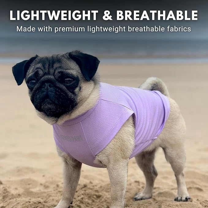 Spark Paws Sunblock Dog T-Shirt, SPF30 Protection, Lightweight Breathable Quick Dry for Dogs with Sensitive Skin - Purple & Peach (Set of 2) - 3XL