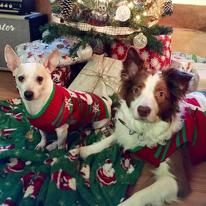 NACOCO Dog Snow Sweater - Snowman Holiday Xmas Christmas Pet Clothes for Small Dog and Cat (Snowman, S)