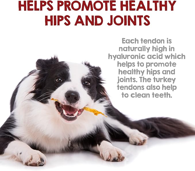 Riley's Turkey Tendons for Dogs - Single Ingredient Dehydrated Turkey Treats for Small & Large Dogs - Made in USA - Promotes Dental Health - 8 oz