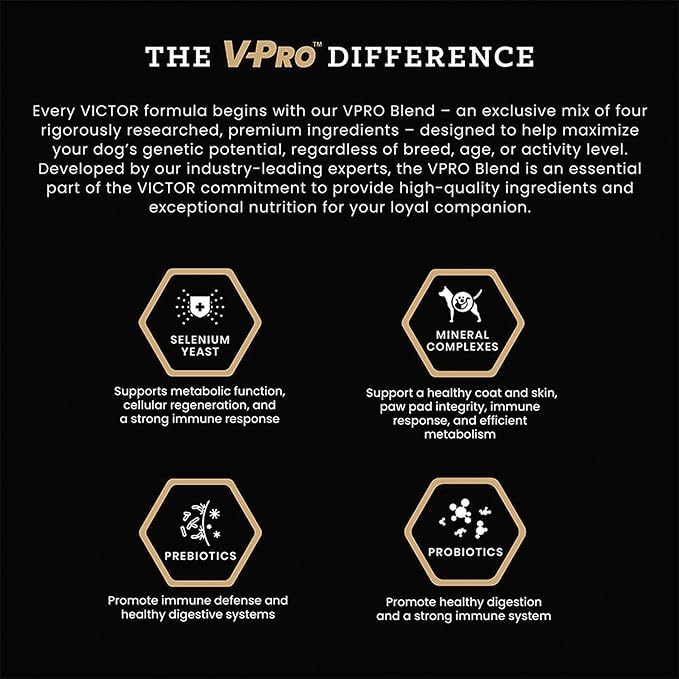 Victor Super Premium Dog Food – Select Beef Meal & Brown Rice Formula for Immune and Gut Health – Gluten-Free Beef Meal Dry Dog Food for All Normally Active Dogs of All Life Stages, 30 lbs