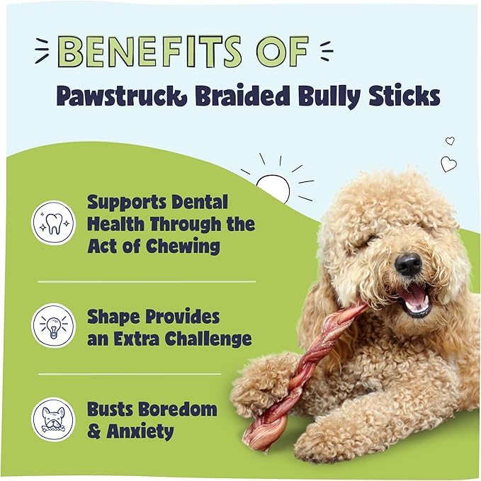 Pawstruck Natural 12” Braided Bully Sticks for Dogs - Tough, Long-Lasting, Rawhide-Free, Low Odor, Healthy Single Ingredient Chew Treat for Aggressive Chewers - 25 Count - Packaging May Vary