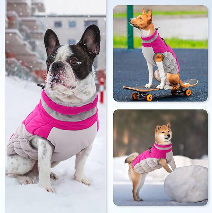 Winter Dog Coat,Large Dog Jacket,Waterproof Pet Jacket with Back Zipper,Pet Coat with Harness Built in,Warm Dogs Coat with Fleece Lined,Snow Jacket Clothes French Bulldog Shiba Inu,Rose Red,L