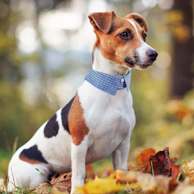Faleela Cotton Plaid Shirt Style Dog Collar Soft Cute,Boy Dog Collar with Quick-Release Buckle,Adjustable Bow Tie Collar for Small Medium Large Dogs