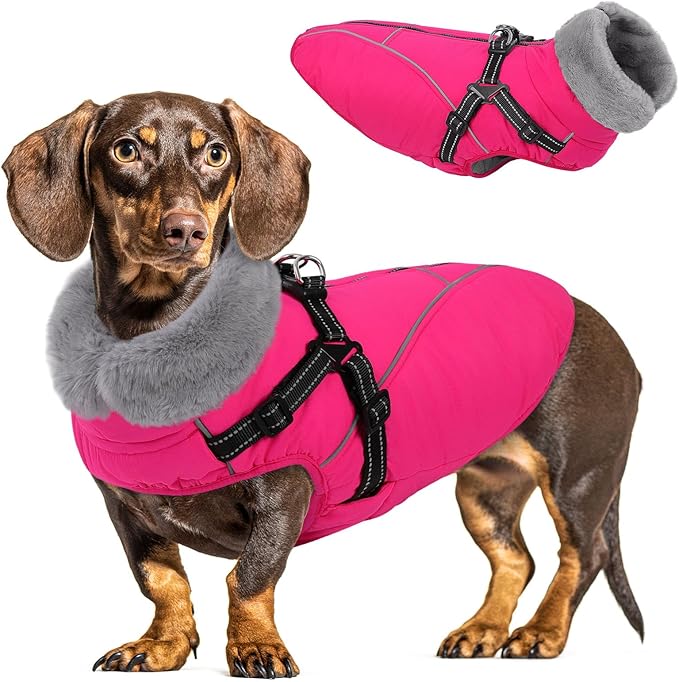 Queenmore Dog Jackets for Large Dogs, Dog Coat with Harness Built in,Waterproof Dogs Coats with Zipper On Back,Warm Fleece Lining Cold Weather Pet Coats with Furry Collar for Labrador,Rosered,L