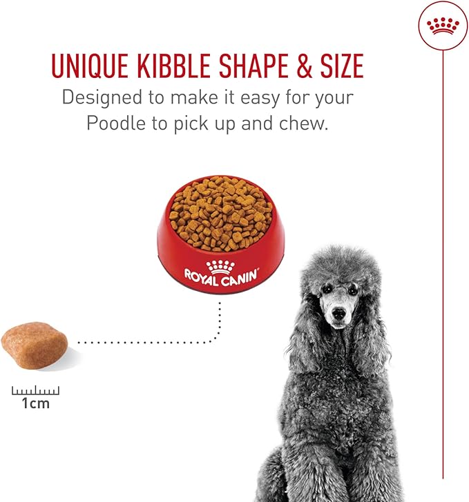 Royal Canin Breed Health Nutrition Poodle Adult Dry Dog Food, 2.5 lb Bag