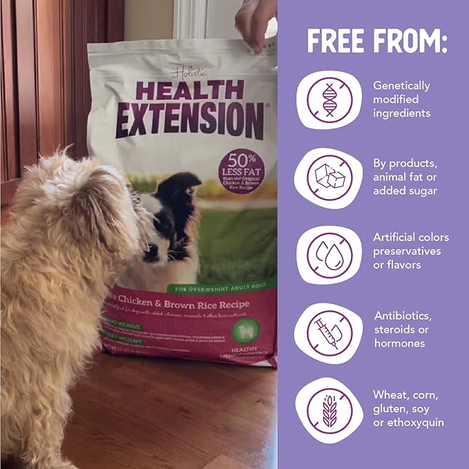 Health Extension Lite Chicken & Brown Rice Dry Dog Food, Low Fat Formula Supports Healthy Weight, with Probiotics & Superfoods for Digestion & Coat Health (4lb)