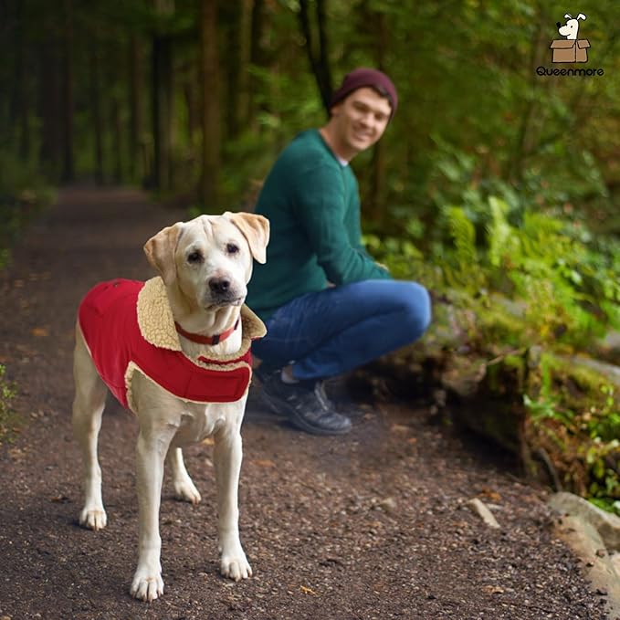 Queenmore Warm Dog Coat, Cold Weather Puffer Jacket with Ultra Thick Plush Lining and Storage Pockets (Red, Medium)