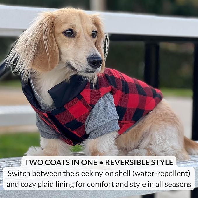 DJANGO Reversible Puffer Dog Coat – Warm Winter Dog Jacket & Water-Repellent Insulated Dog Coat with Harness Hole, Windproof, Adjustable Fit Vest for Small & Medium Dogs, Dachshunds – Black, Medium
